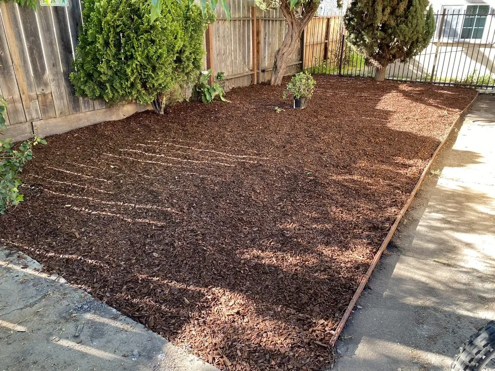 Custom yard cleanup service near you in Oakland, CA by Pinos Gardening Services