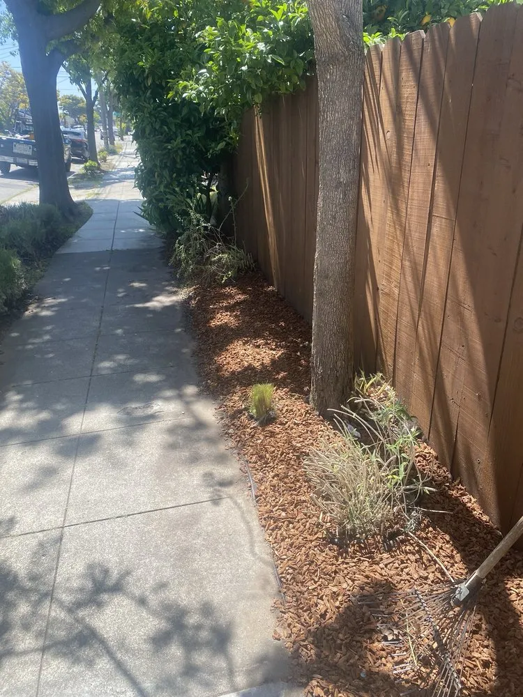 Reliable landscape installation for outdoor upgrades in Oakland, CA by Pinos Gardening Services