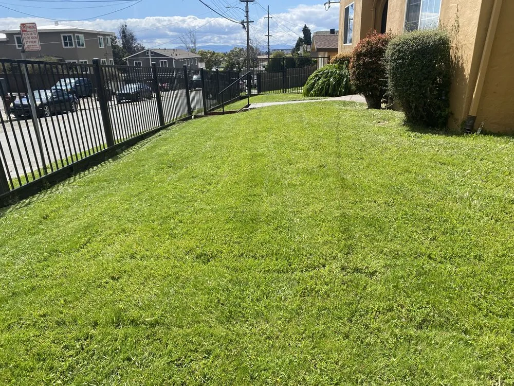 Reliable landscape design experts serving Oakland, CA - Pinos Gardening Services