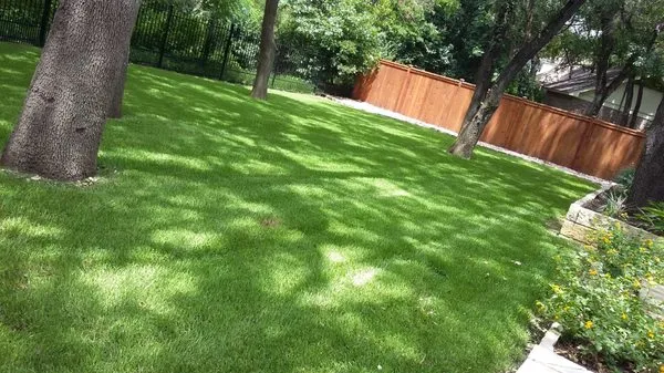 Pinpoint landscaping Logo