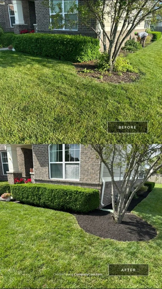 Expert yard cleanup service for homes in Indianapolis, IN by Pinpoint Services Indy