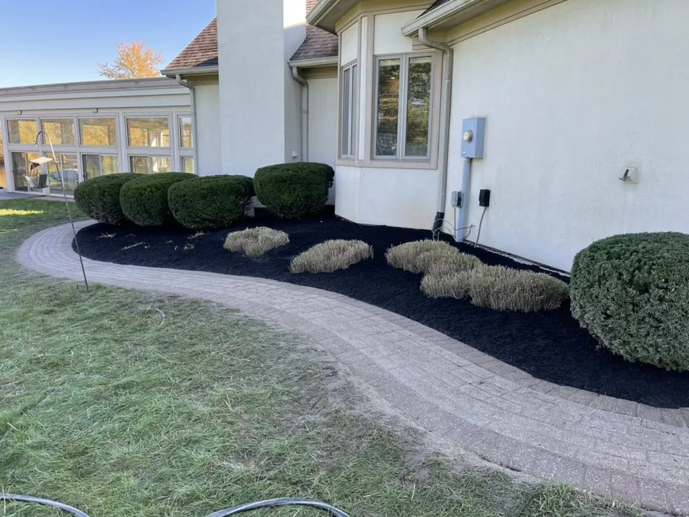 Top-rated yard maintenance in Indianapolis, IN by Pinpoint Services Indy