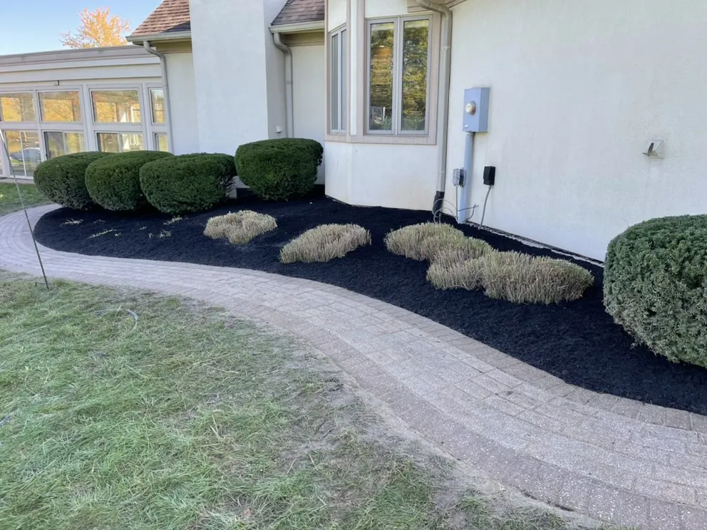 Expert lawn care service in Indianapolis, IN by Pinpoint Services Indy