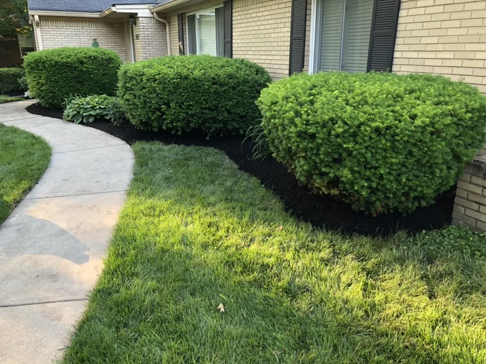 Local outdoor landscaping in Indianapolis, IN - Pinpoint Services Indy