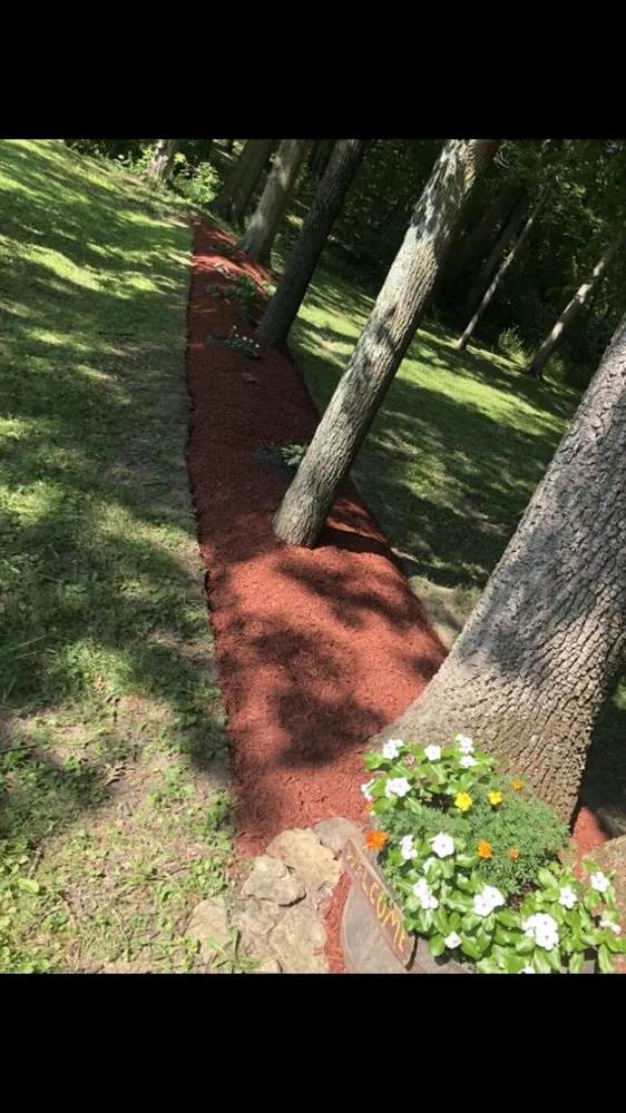 Expert residential landscaping for beautiful yards in Indianapolis, IN by Pinpoint Services Indy