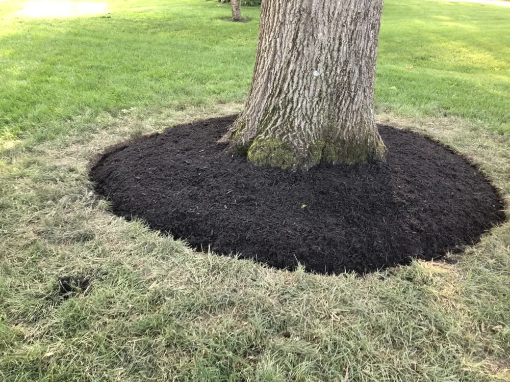Local landscape installation for outdoor upgrades across Indianapolis, IN - Pinpoint Services Indy