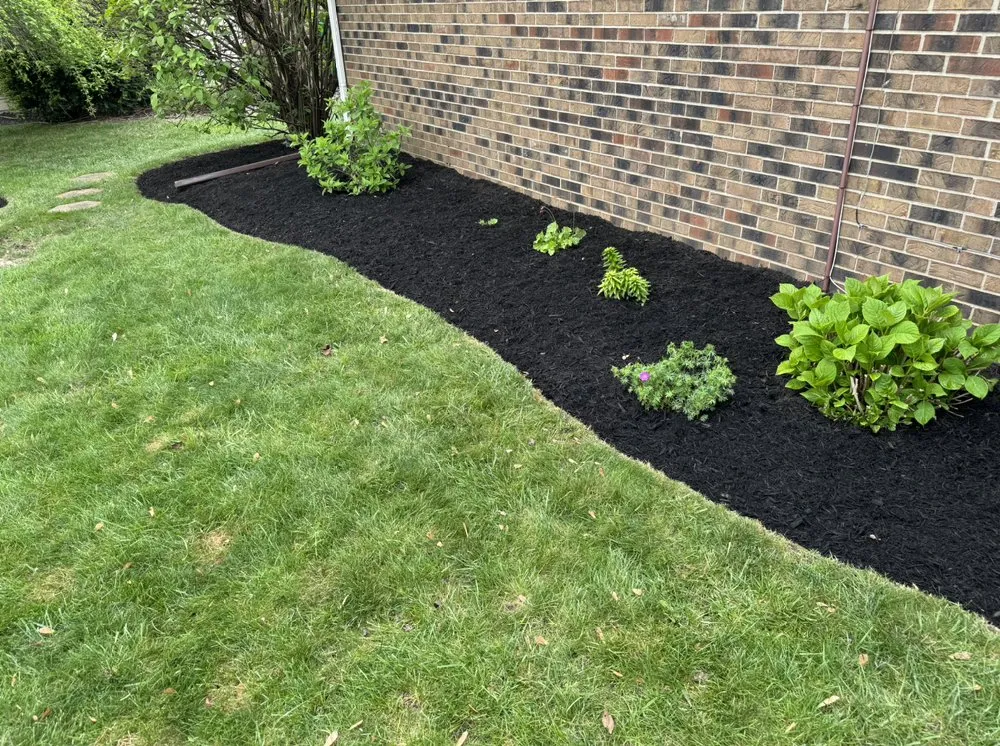 Expert lawn care service in Indianapolis, IN by Pinpoint Services Indy