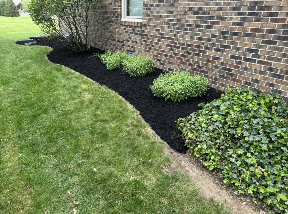 Professional yard cleanup service for homes across Indianapolis, IN - Pinpoint Services Indy