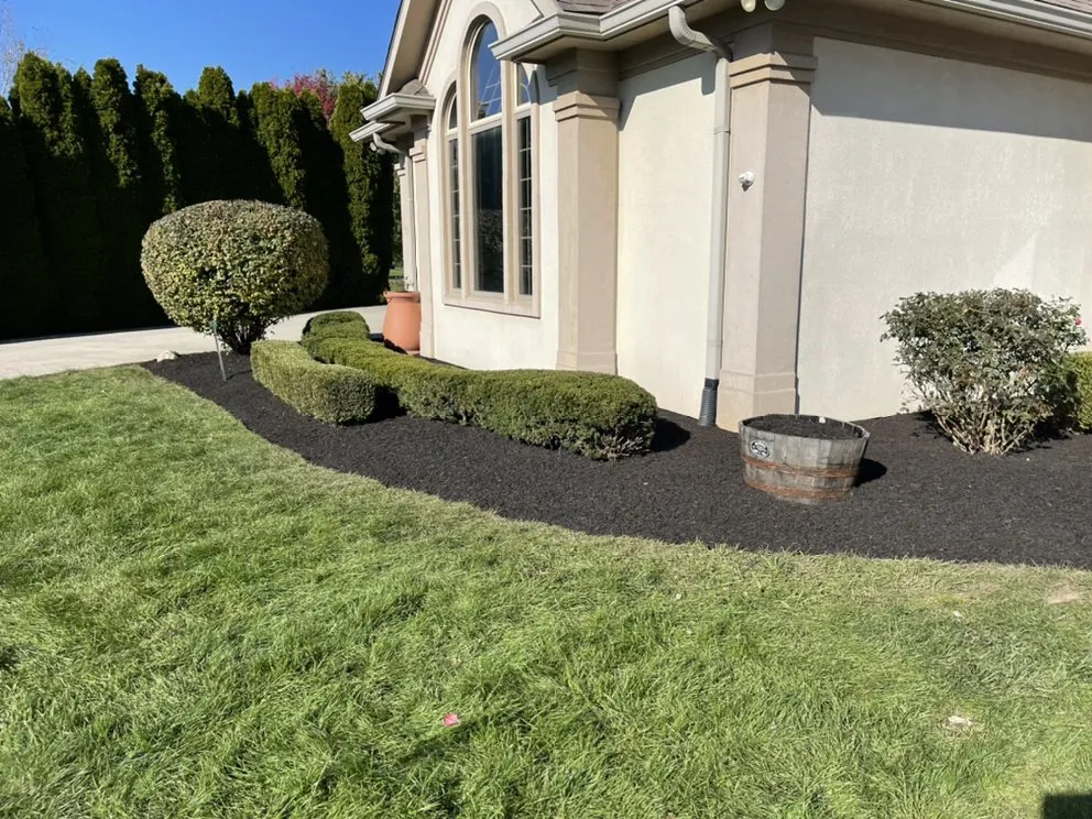 Top-rated residential landscaping for outdoor upgrades in Indianapolis, IN by Pinpoint Services Indy