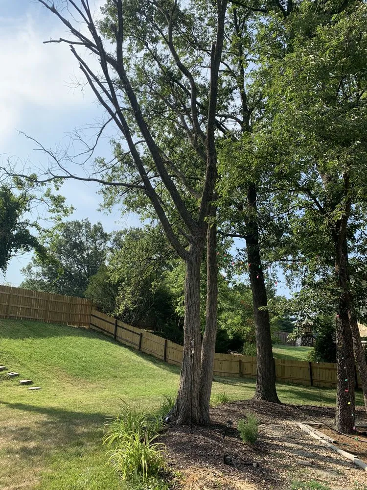 Local landscape design in Park Hills, MO - Pinsons Lawncare