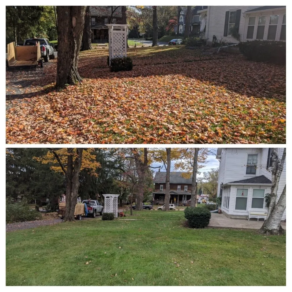 Professional yard cleanup service in Oxford, NJ - Pinstripe Landscapes