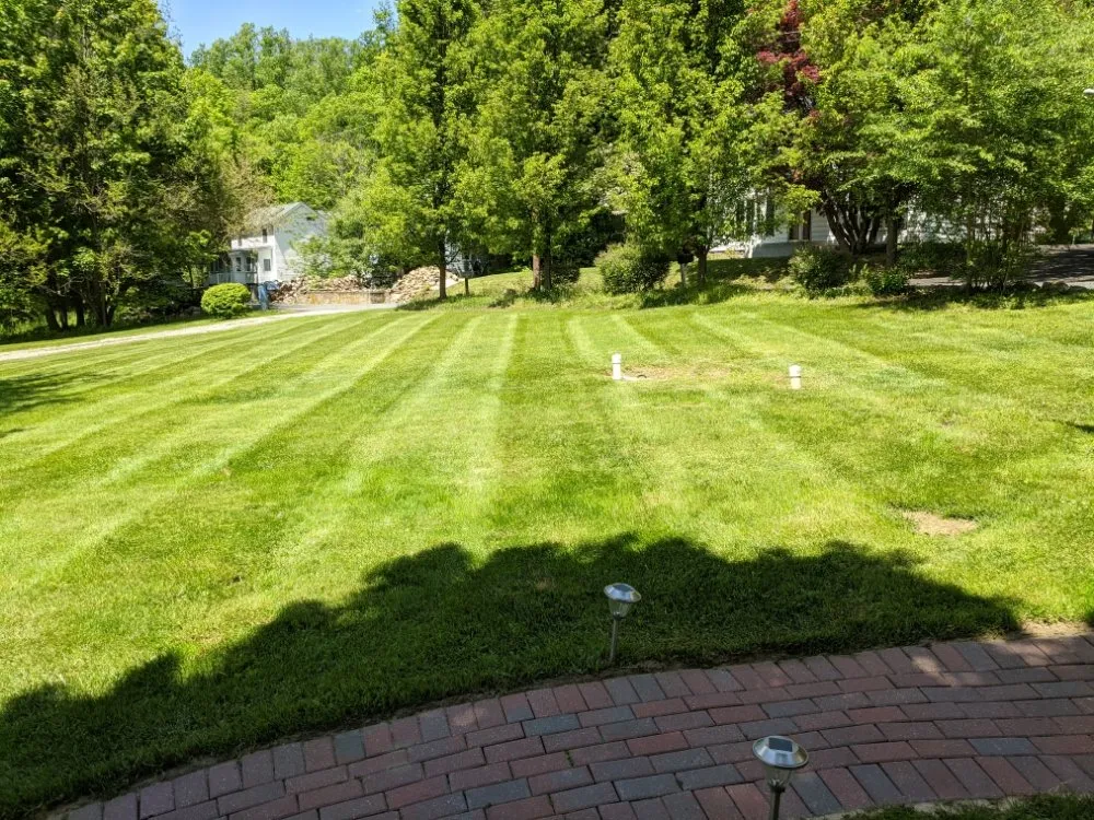 Expert yard cleanup service for year-round maintenance across Oxford, NJ - Pinstripe Landscapes