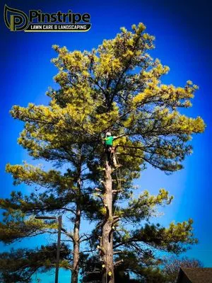 Pinstripe Lawn Care & Landscaping