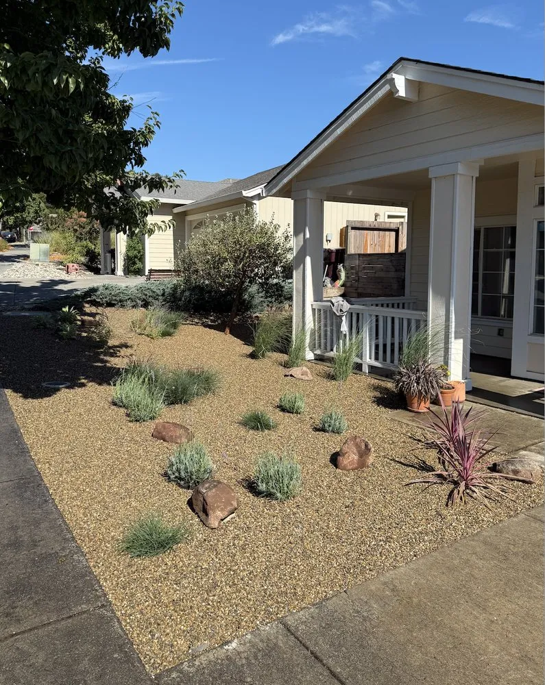 Reliable yard cleanup service in Santa Rosa, CA by Pintail Landscaping