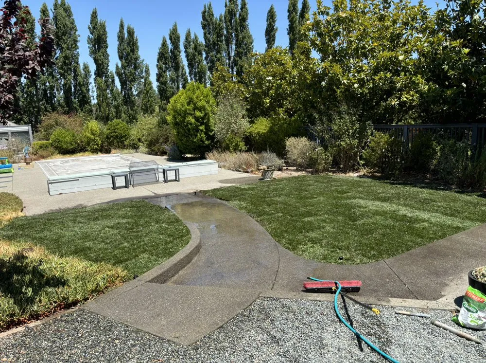 Expert residential landscaping in Santa Rosa, CA - Pintail Landscaping