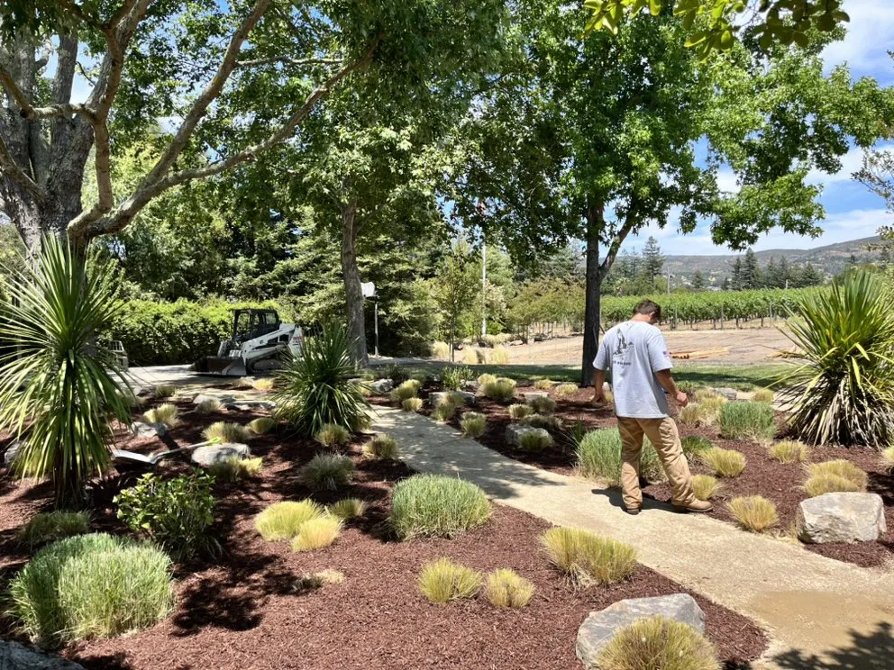 Top-rated lawn mowing service in Santa Rosa, CA by Pintail Landscaping