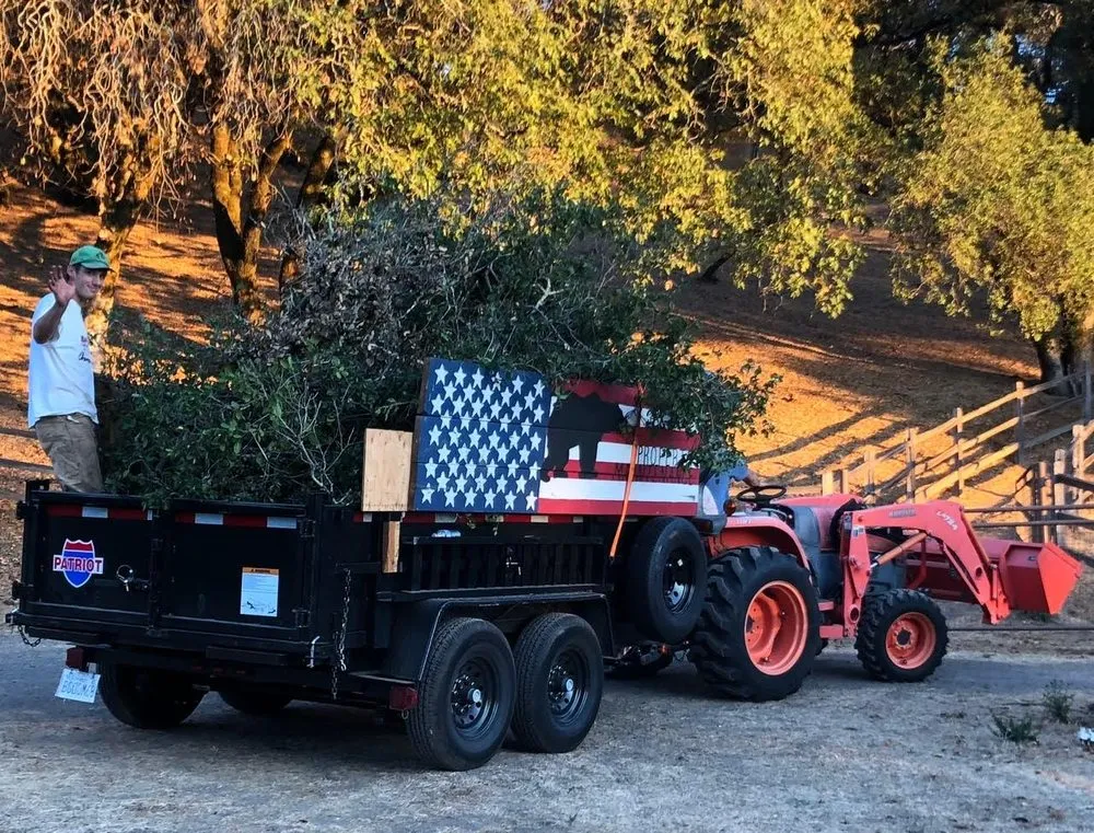 Custom yard cleanup service experts serving Santa Rosa, CA - Pintail Landscaping