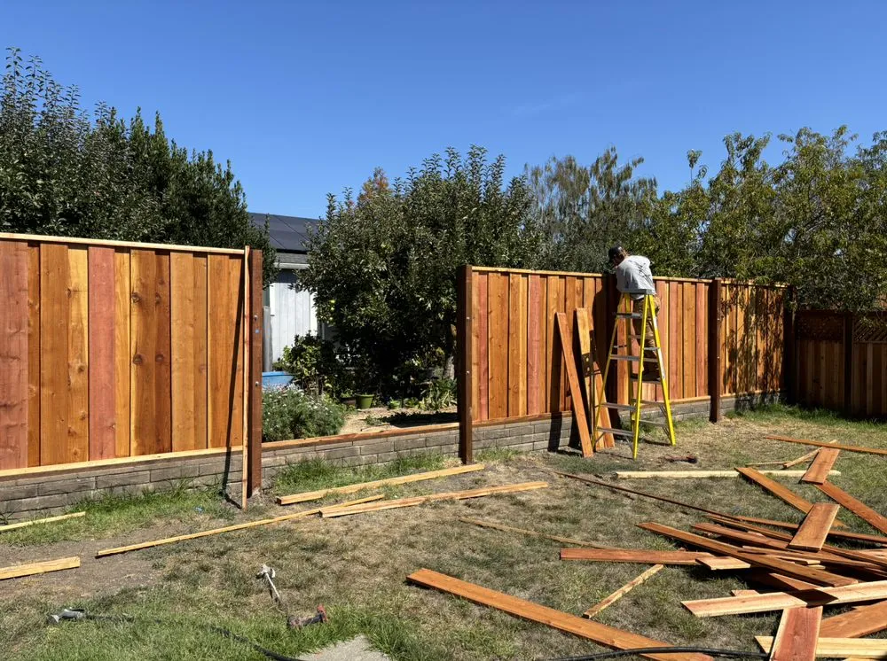 Professional residential landscaping for homes across Santa Rosa, CA - Pintail Landscaping