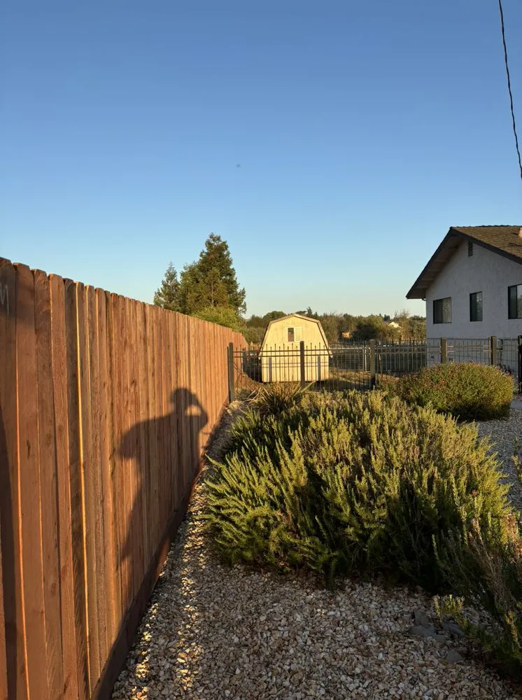 Custom landscaping services near you across Santa Rosa, CA - Pintail Landscaping