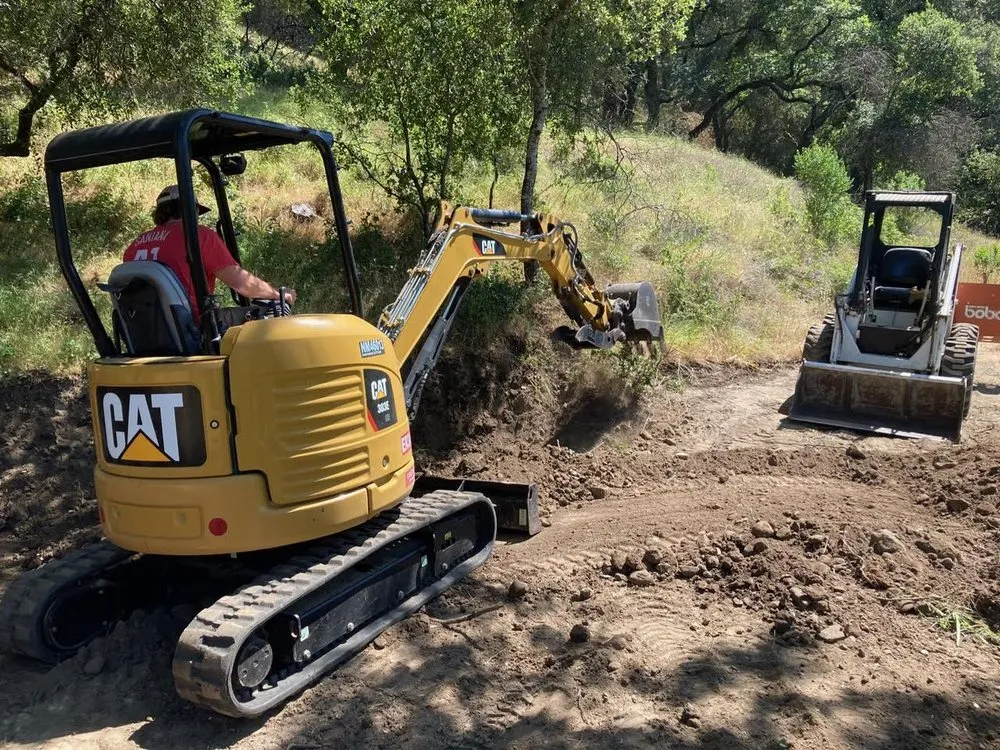 Affordable yard cleanup service in Santa Rosa, CA - Pintail Landscaping