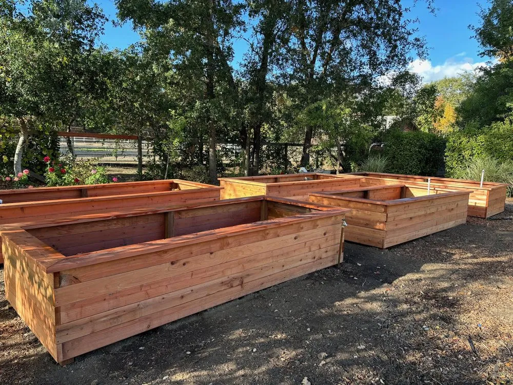 Top-rated lawn mowing service in Santa Rosa, CA by Pintail Landscaping