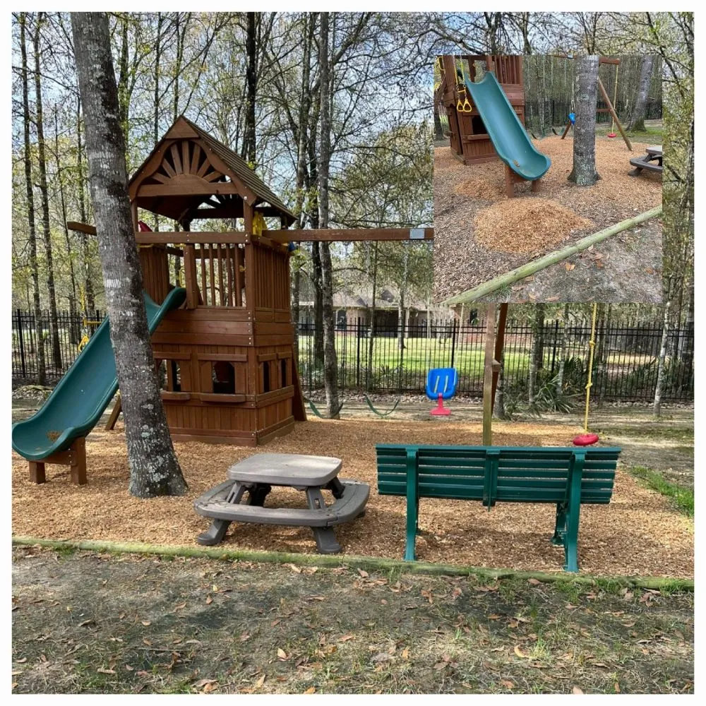 Expert yard cleanup service in Spring, TX - Pinto's Landscaping