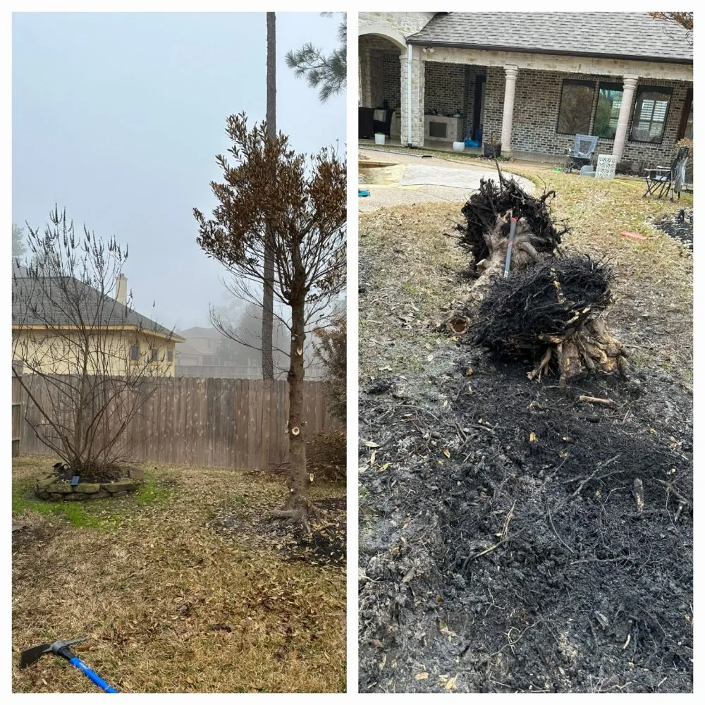 Reliable landscaping services for outdoor upgrades in Spring, TX by Pinto's Landscaping