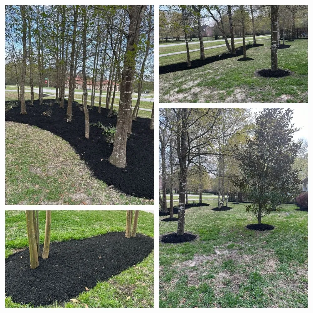 Top-rated landscape installation in Spring, TX - Pinto's Landscaping