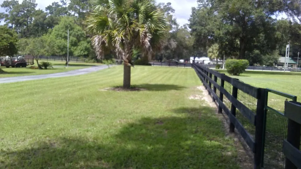 Professional landscaping services near you in Ocala, FL by Pio Lawn Care And Landscaping