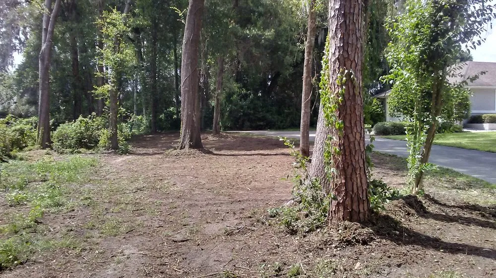 Custom garden landscaping experts serving Ocala, FL - Pio Lawn Care And Landscaping