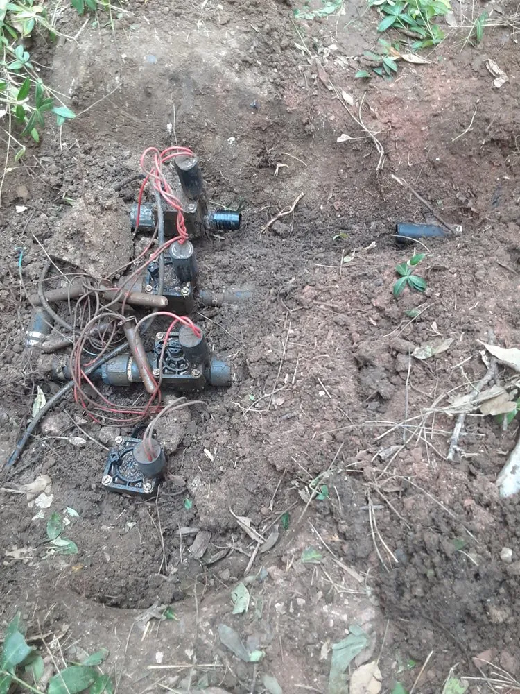 Affordable landscaping services in Commerce City, CO by Pio lawn care