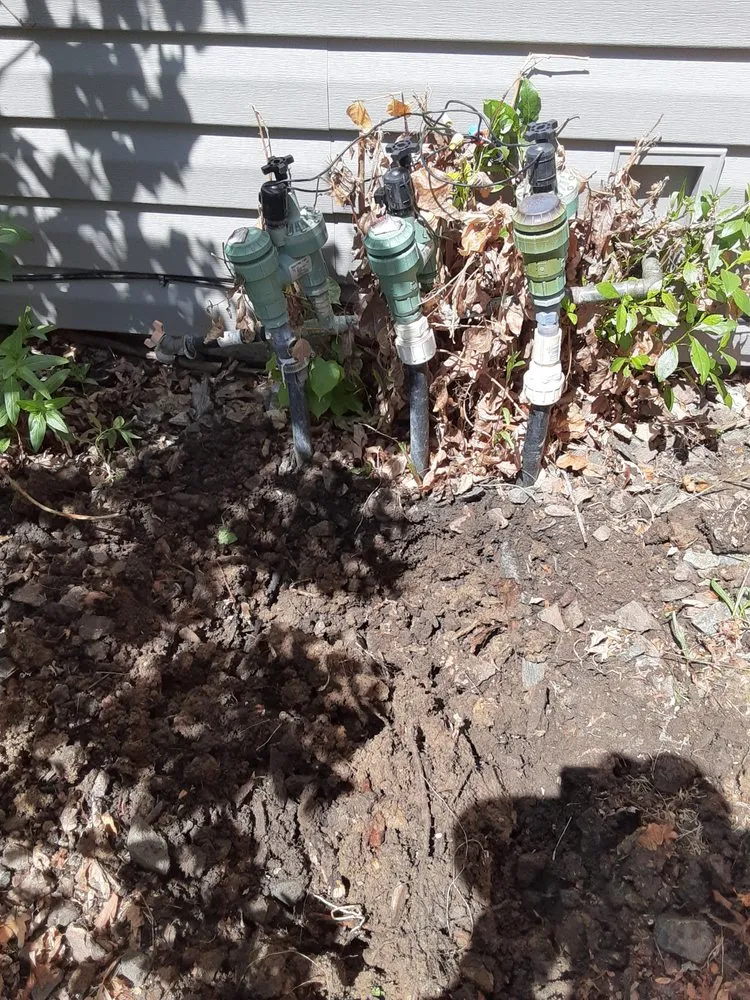 Affordable yard cleanup service in Commerce City, CO by Pio lawn care