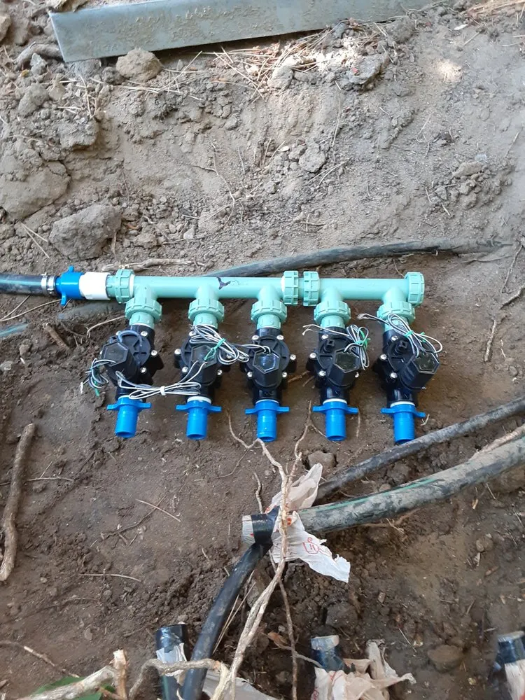 Custom residential landscaping in Commerce City, CO - Pio lawn care