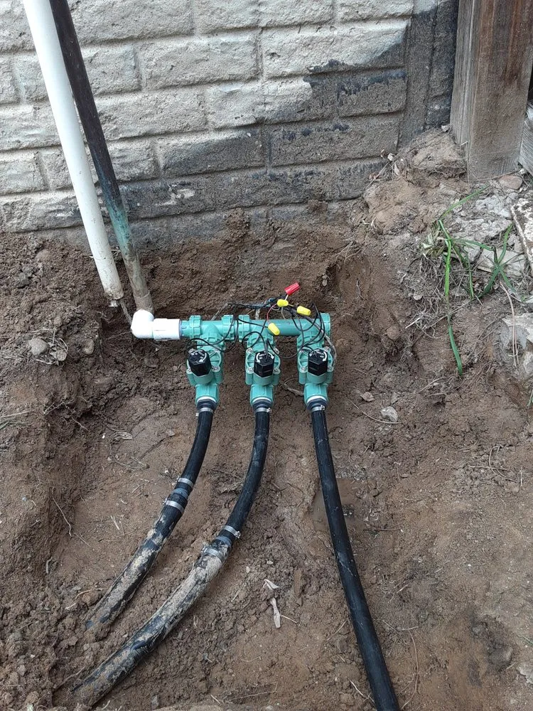 Trusted lawn care service for beautiful yards in Commerce City, CO by Pio lawn care