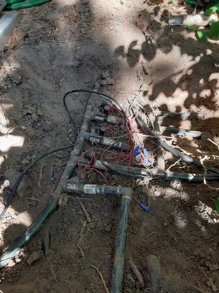 Custom lawn care service experts serving Commerce City, CO - Pio lawn care