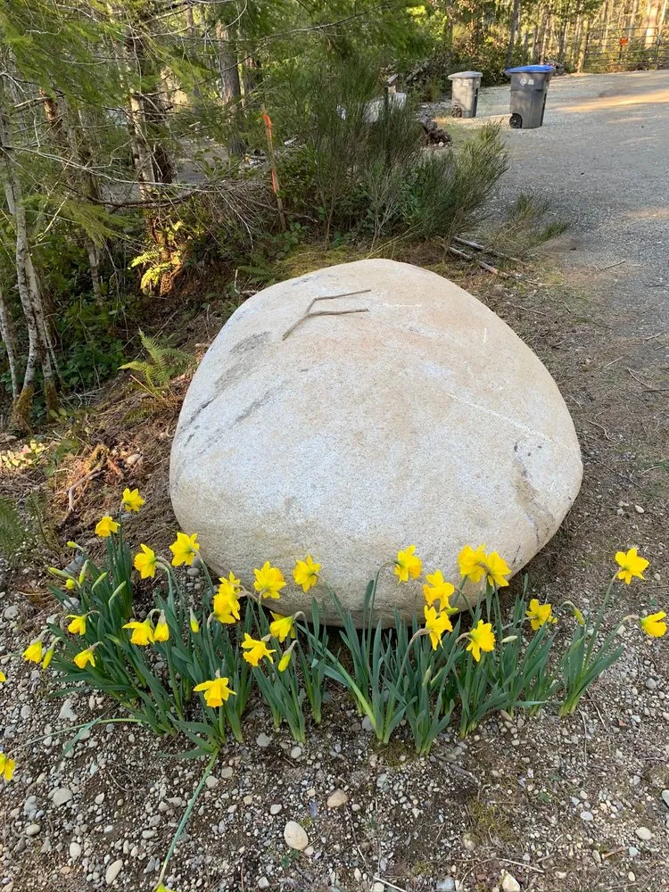 Custom landscape design in Grapeview, WA - Pioneer Digging