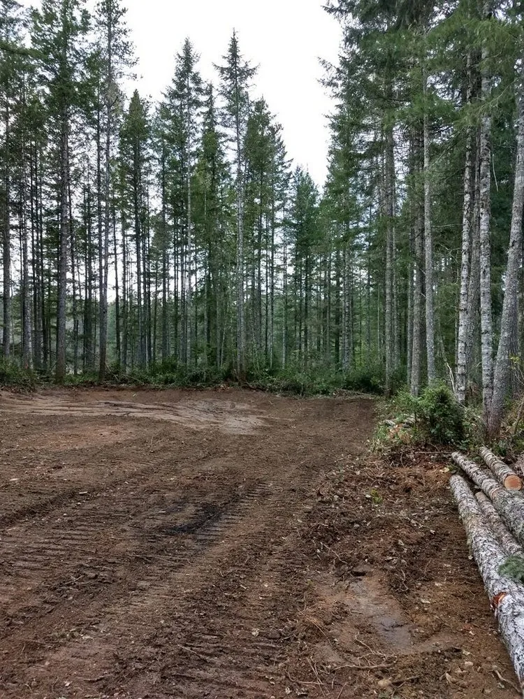 Local yard cleanup service in Grapeview, WA - Pioneer Digging