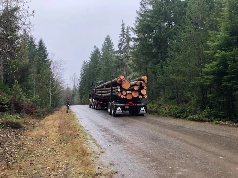 Custom landscape installation near you across Grapeview, WA - Pioneer Digging