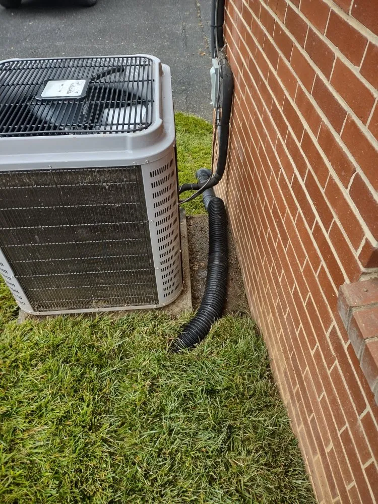 Local landscape installation in Salem, VA - Pioneer Exterior Services