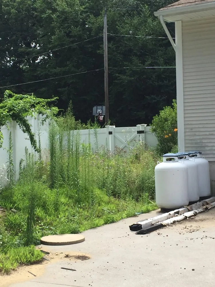 Top-rated yard maintenance experts serving Easthampton, MA - Pioneer Landscapes