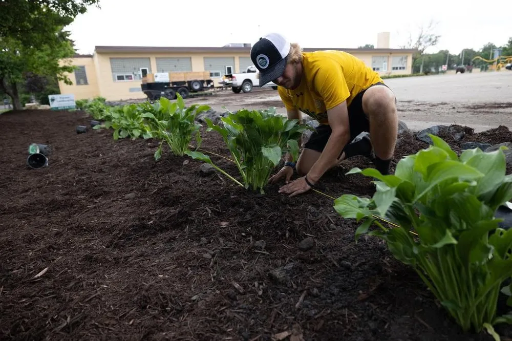 Local yard maintenance in Lake Elmo, MN - Pioneer Landscaping