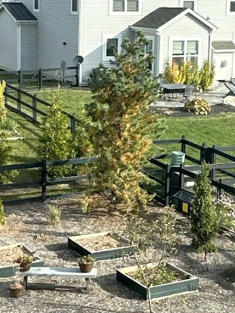 Expert lawn care service in Lewis Center, OH by Pioneer Landscaping