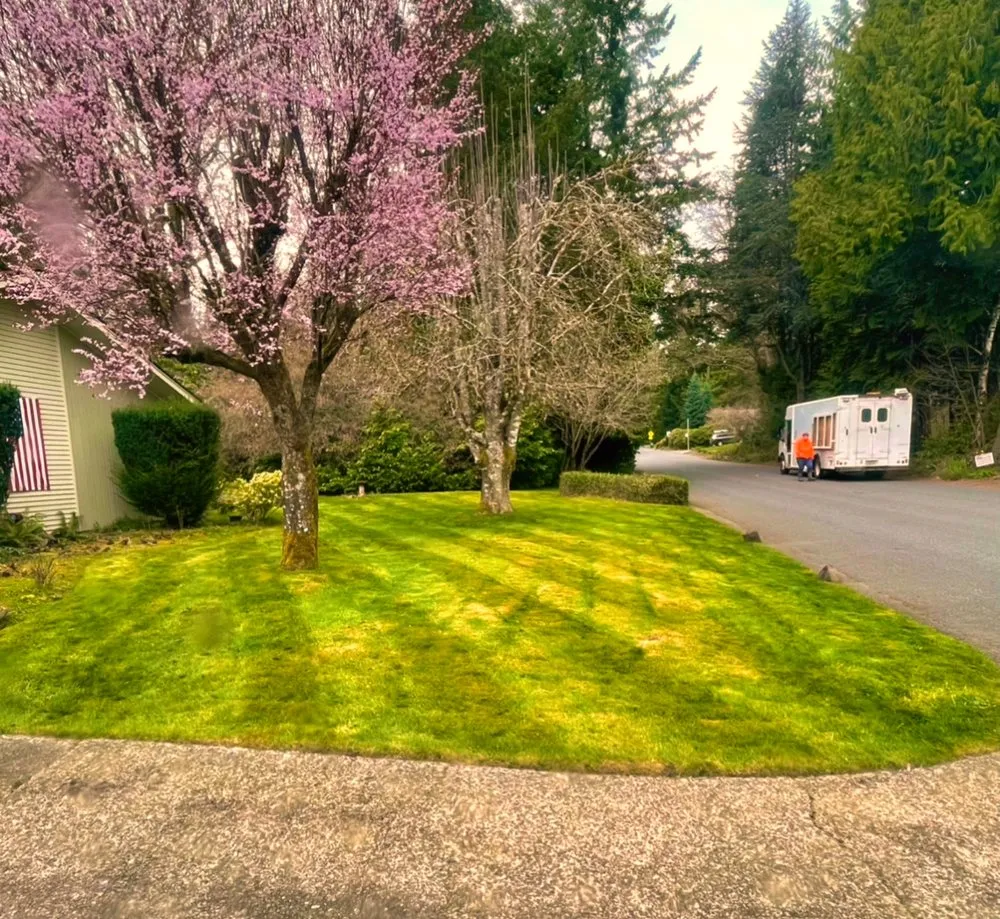 Expert residential landscaping in Olympia, WA - Pioneer Landscaping