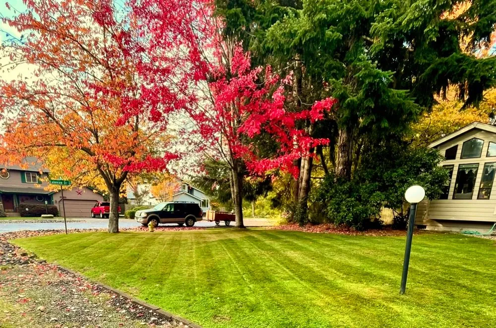 Professional landscape installation in Olympia, WA by Pioneer Landscaping