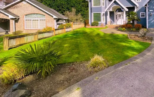 Pioneer Landscaping Logo