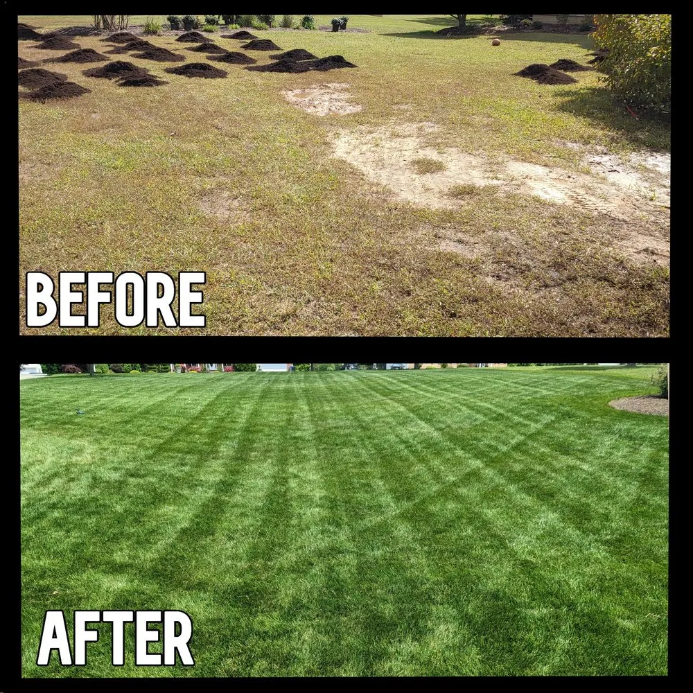 Custom outdoor landscaping near you across White Plains, MD - Pioneer Landscaping