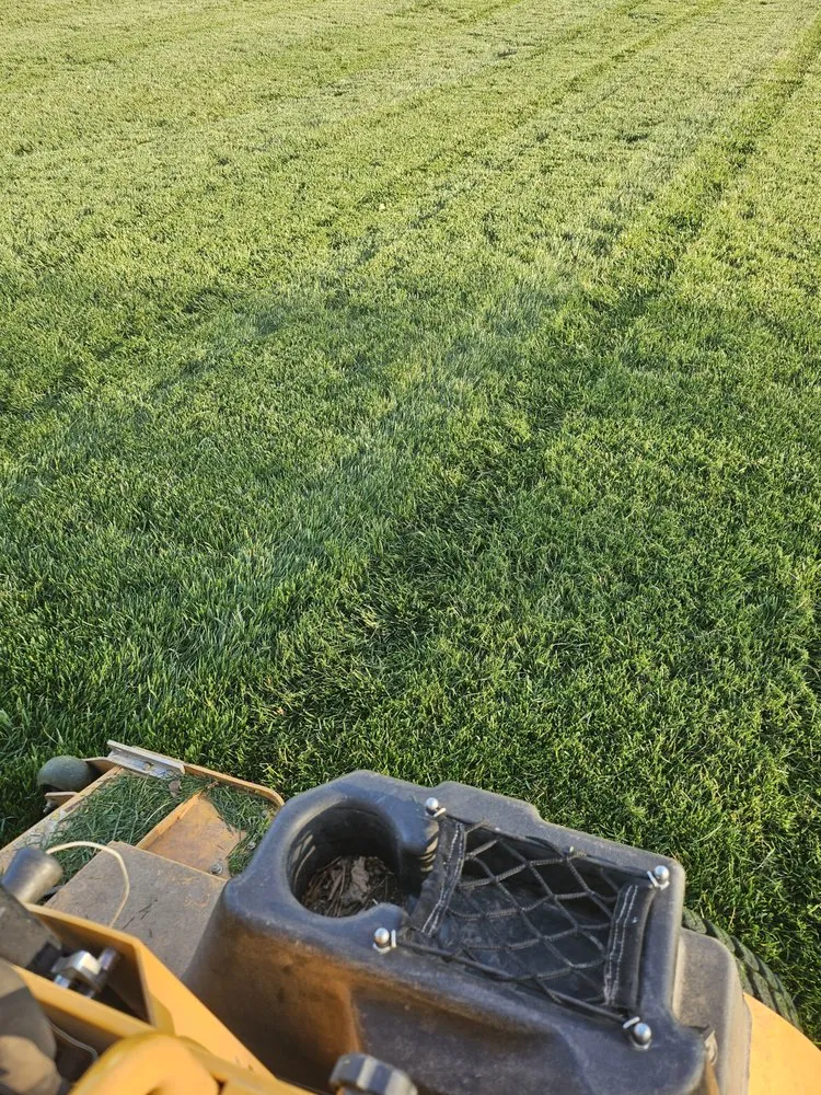 Professional yard maintenance in Lexington, NC by Pioneer Lawn Care & Landscaping