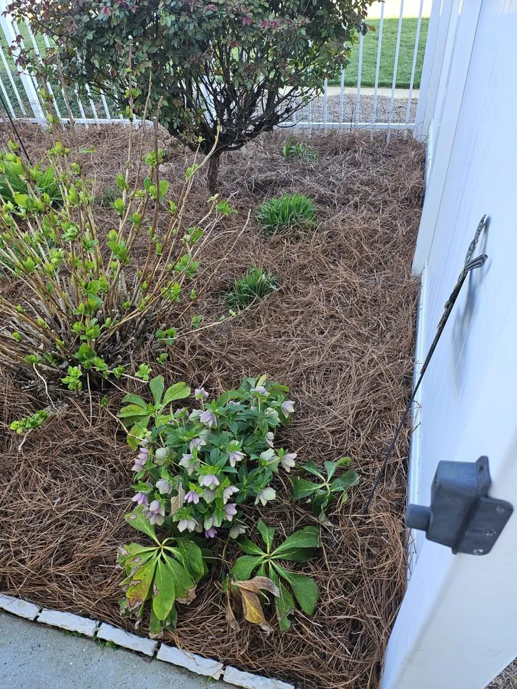 Local garden landscaping experts serving Lexington, NC - Pioneer Lawn Care & Landscaping