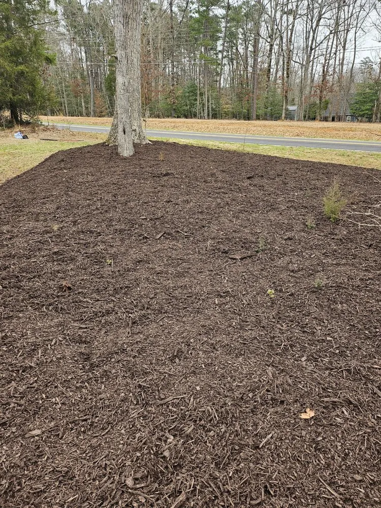 Expert residential landscaping in Lexington, NC - Pioneer Lawn Care & Landscaping