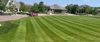 Affordable yard cleanup service experts serving Bethpage, TN - Pioneer Lawn Care